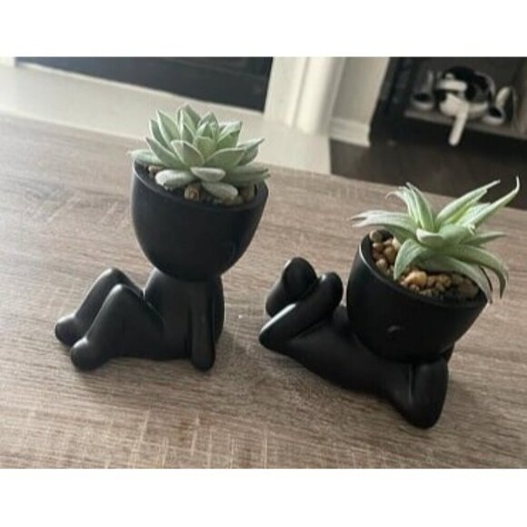 New Set of 2 Fake Plants Artificial Succulent Plants for Office Desk Accessories - Picture 1 of 2